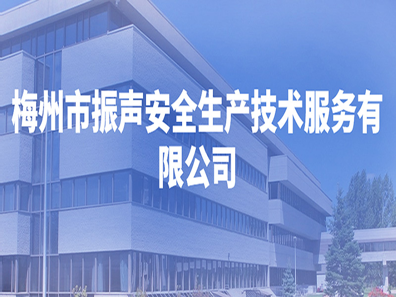 振聲安技